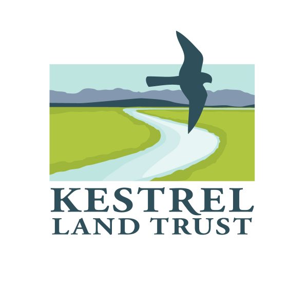 kestrel-logo-landscape-color HI kestrel-logo-landscape-color HI