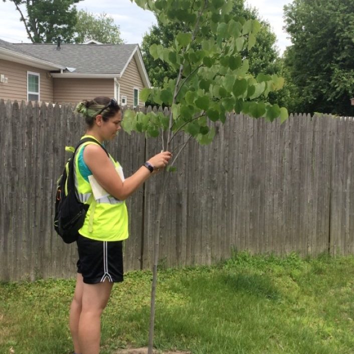 Elizabeth Lohr - picture_elohr Elizabeth Lohr - picture_elohr